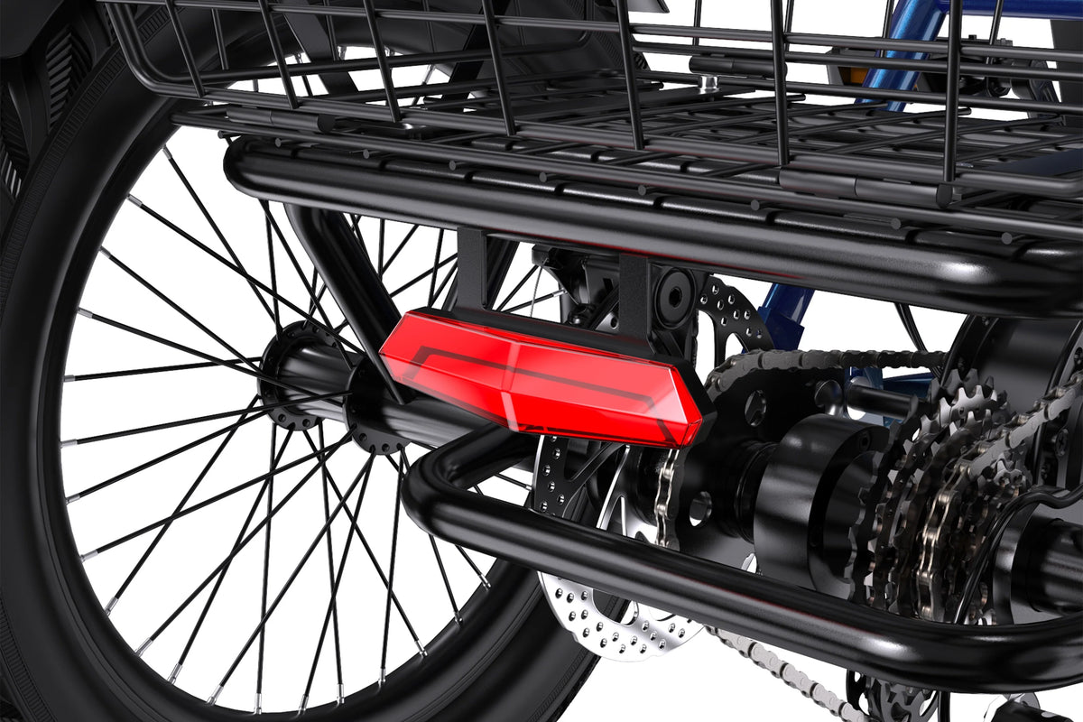APEFOX RH30 Electric Trike