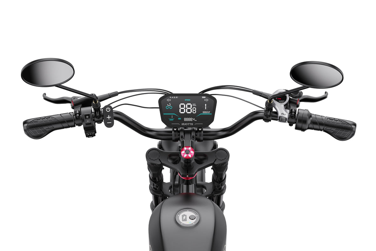 DUOTTS F20 Electric Bike