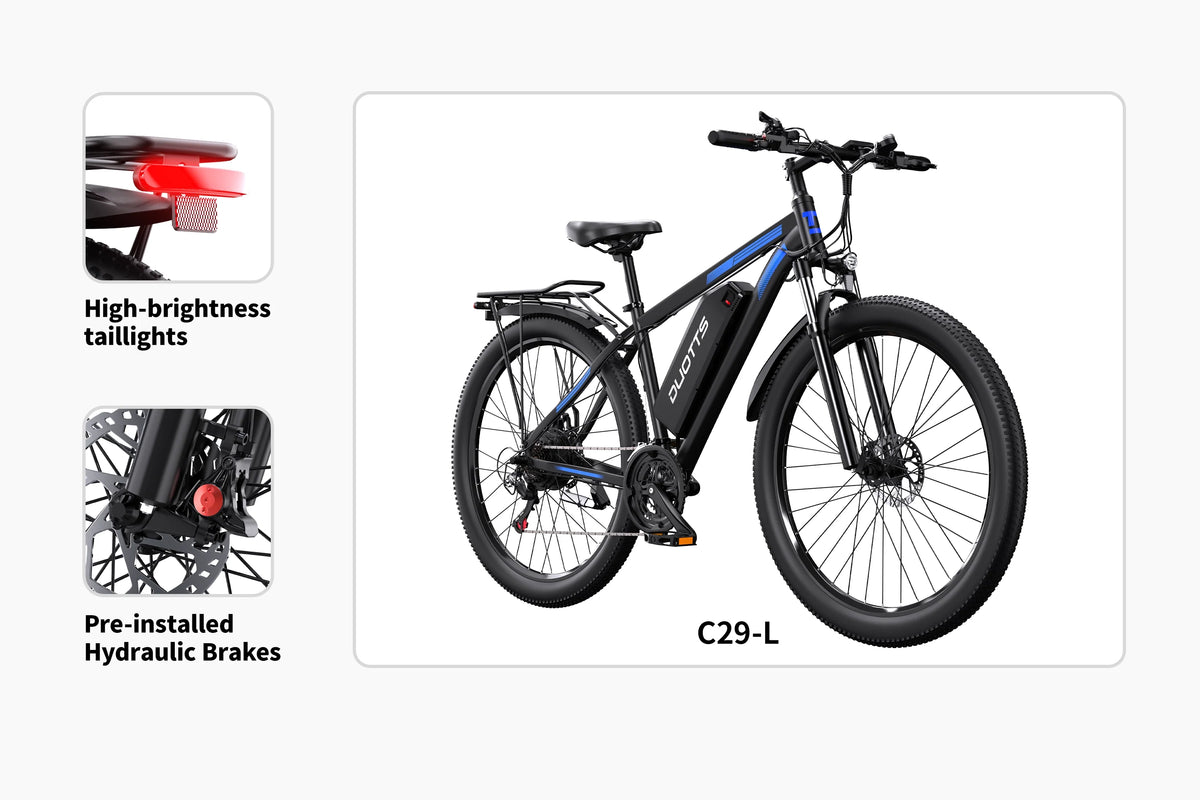 DUOTTS C29 Electric Bike