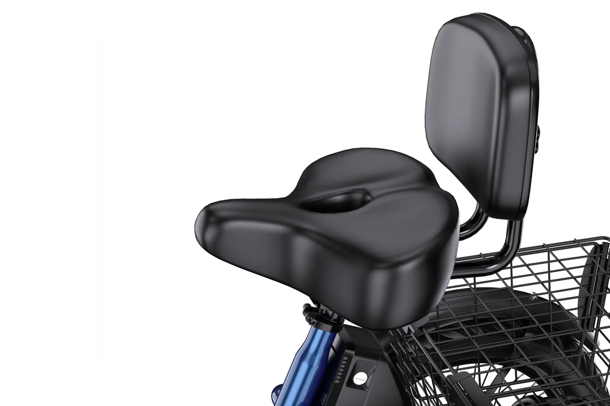 APEFOX RH30 Electric Trike