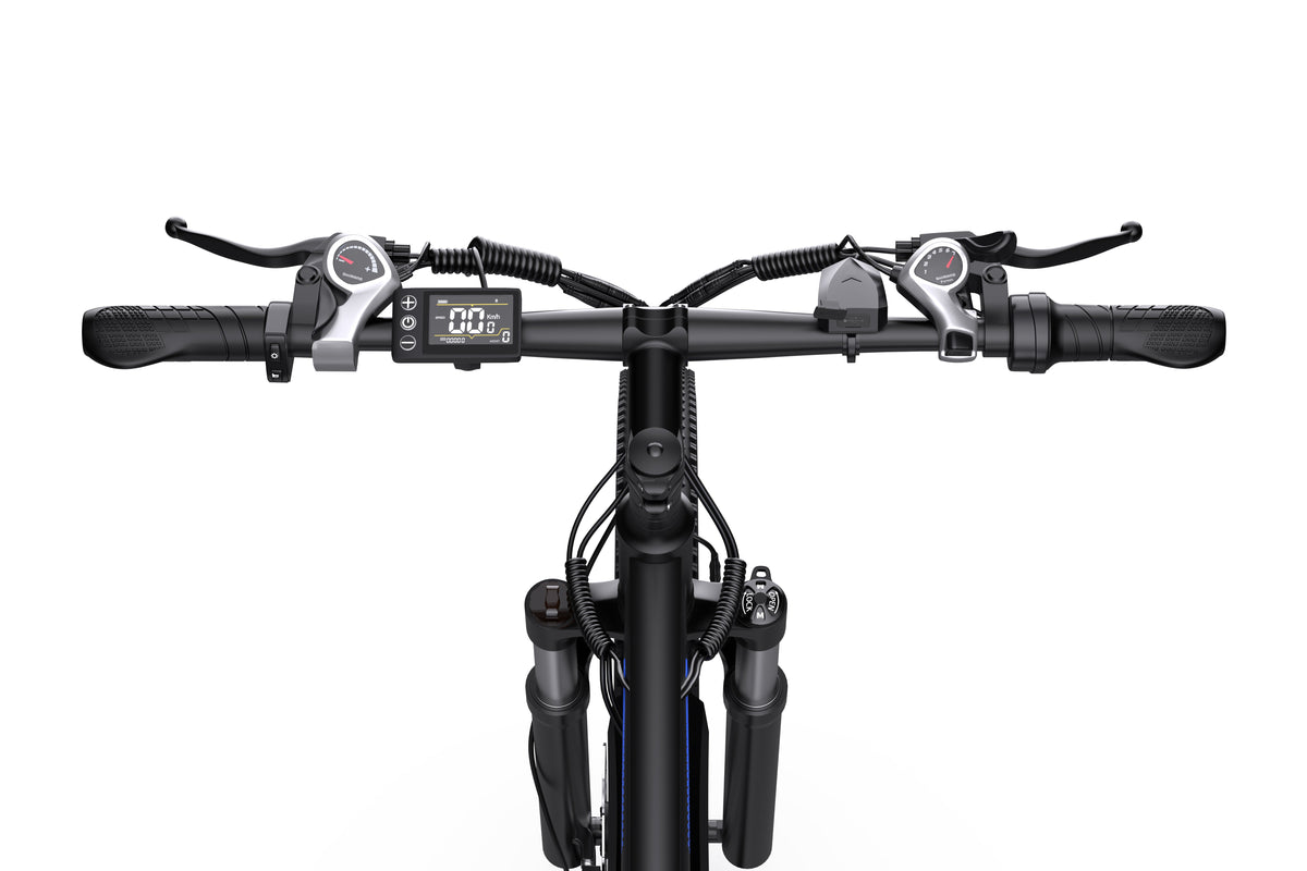 DUOTTS C29 Electric Bike