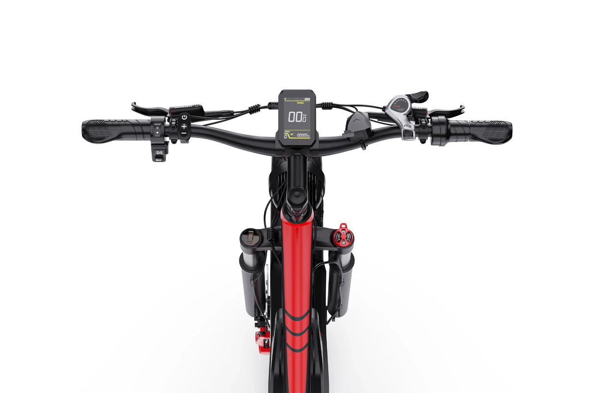 DUOTTS S26 Electric Bike