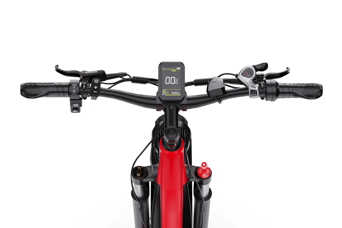 DUOTTS F26 Electric Bike