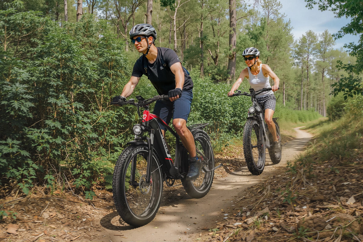 DUOTTS F26Lite Electric Bike