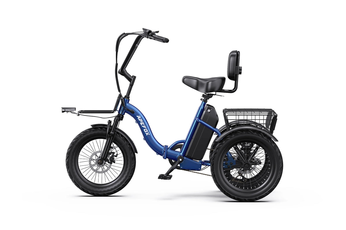 APEFOX RH30 Electric Trike