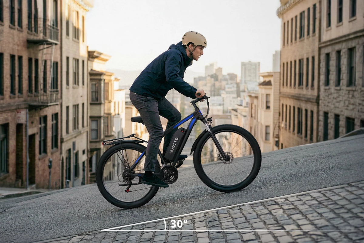 DUOTTS C29 Electric Bike
