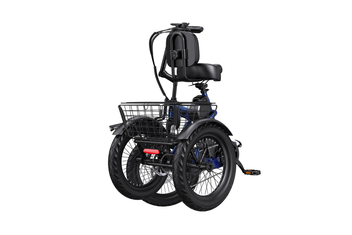 APEFOX RH30 Electric Trike