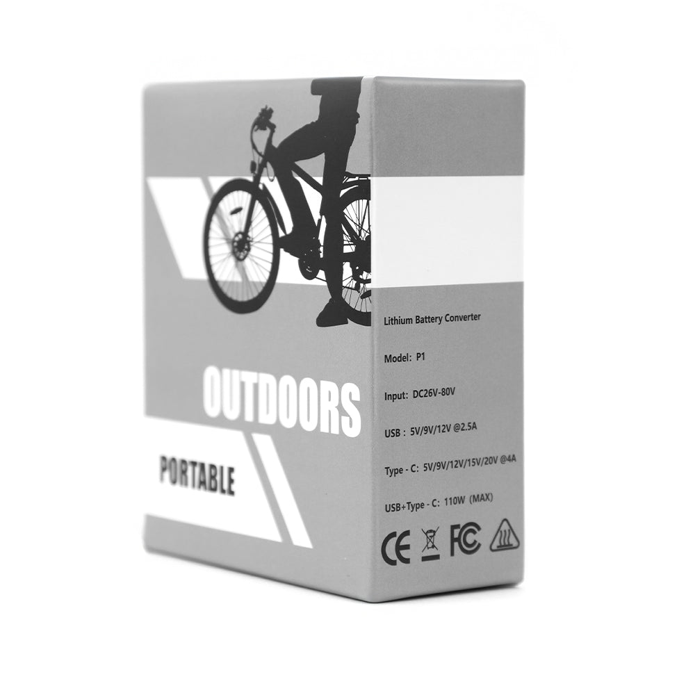 DUOTTS Battery Converter