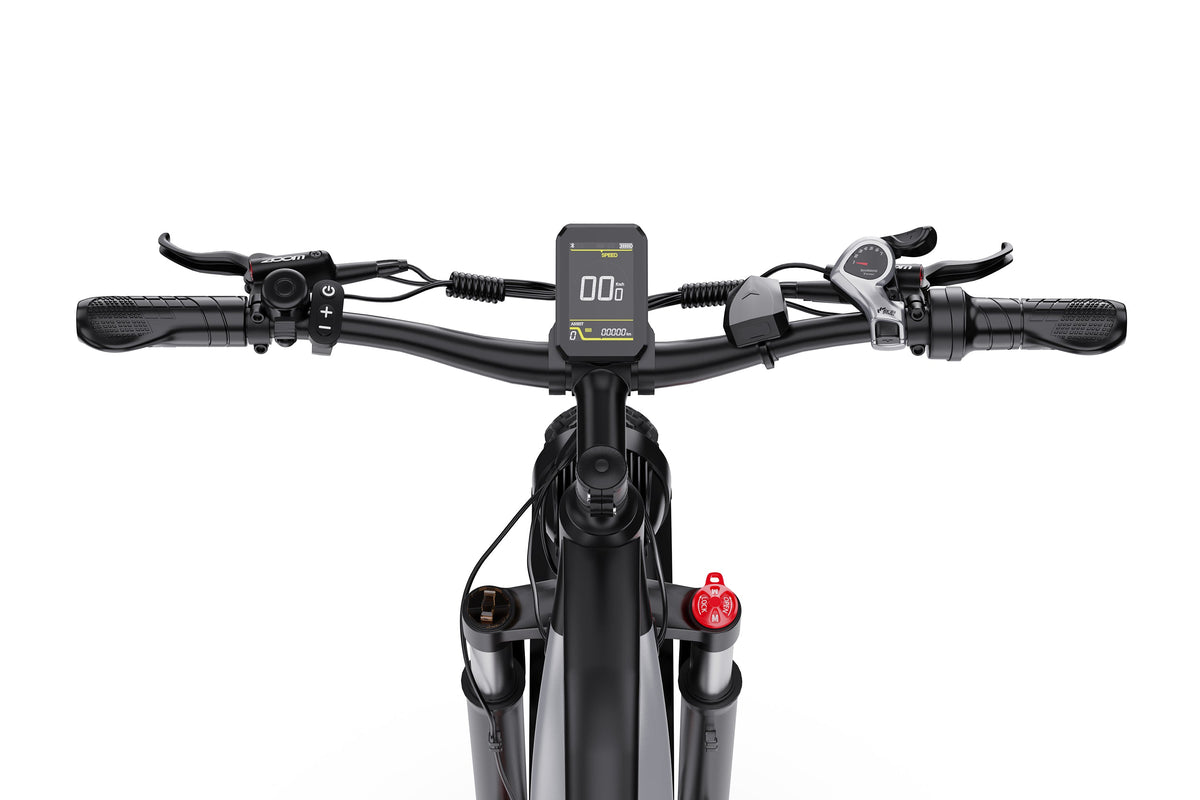 DUOTTS F26Lite Electric Bike