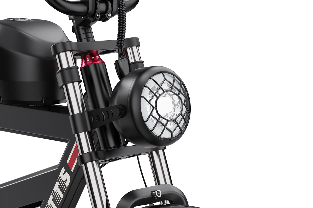DUOTTS F20 Electric Bike