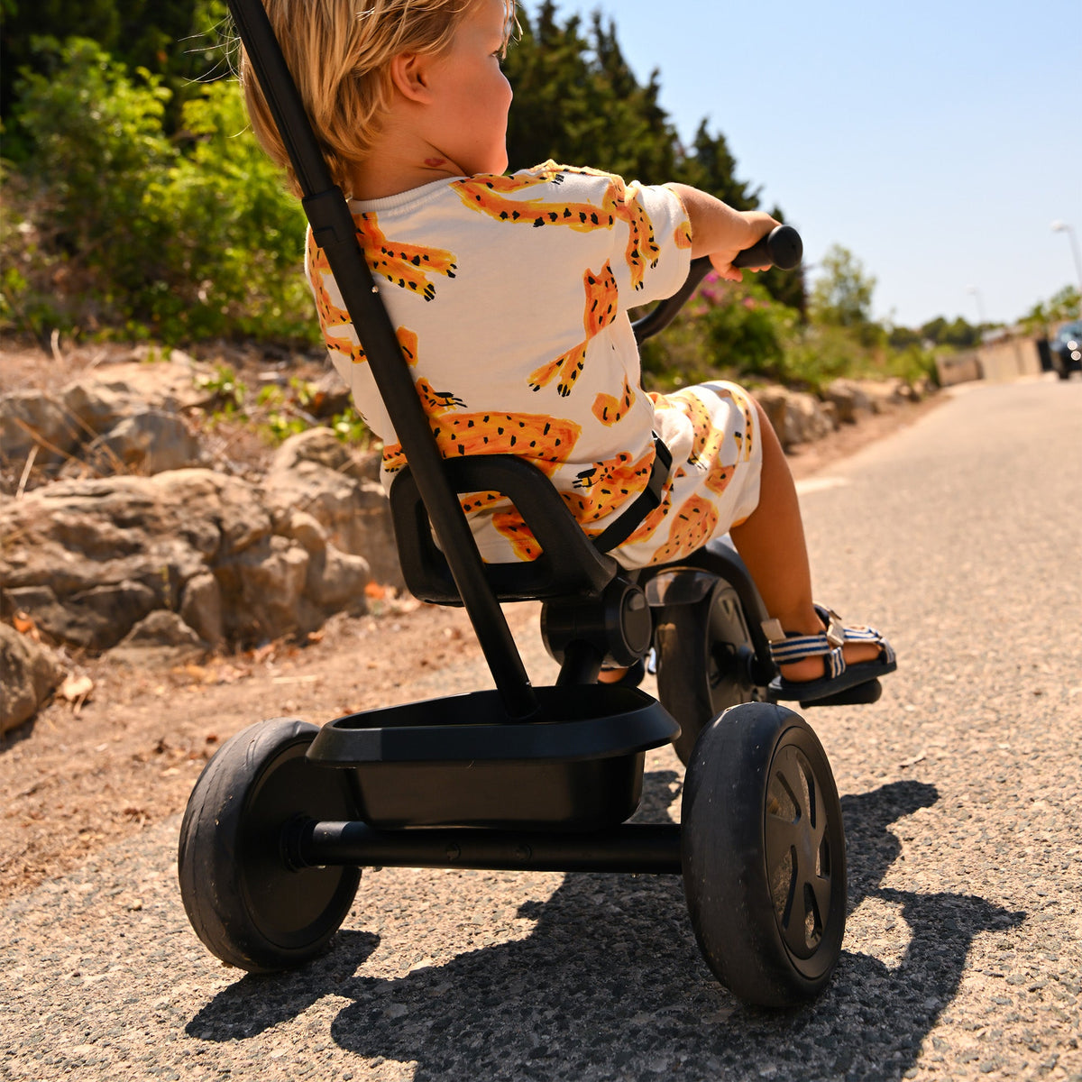 Drifter Tricycle with push bar Black