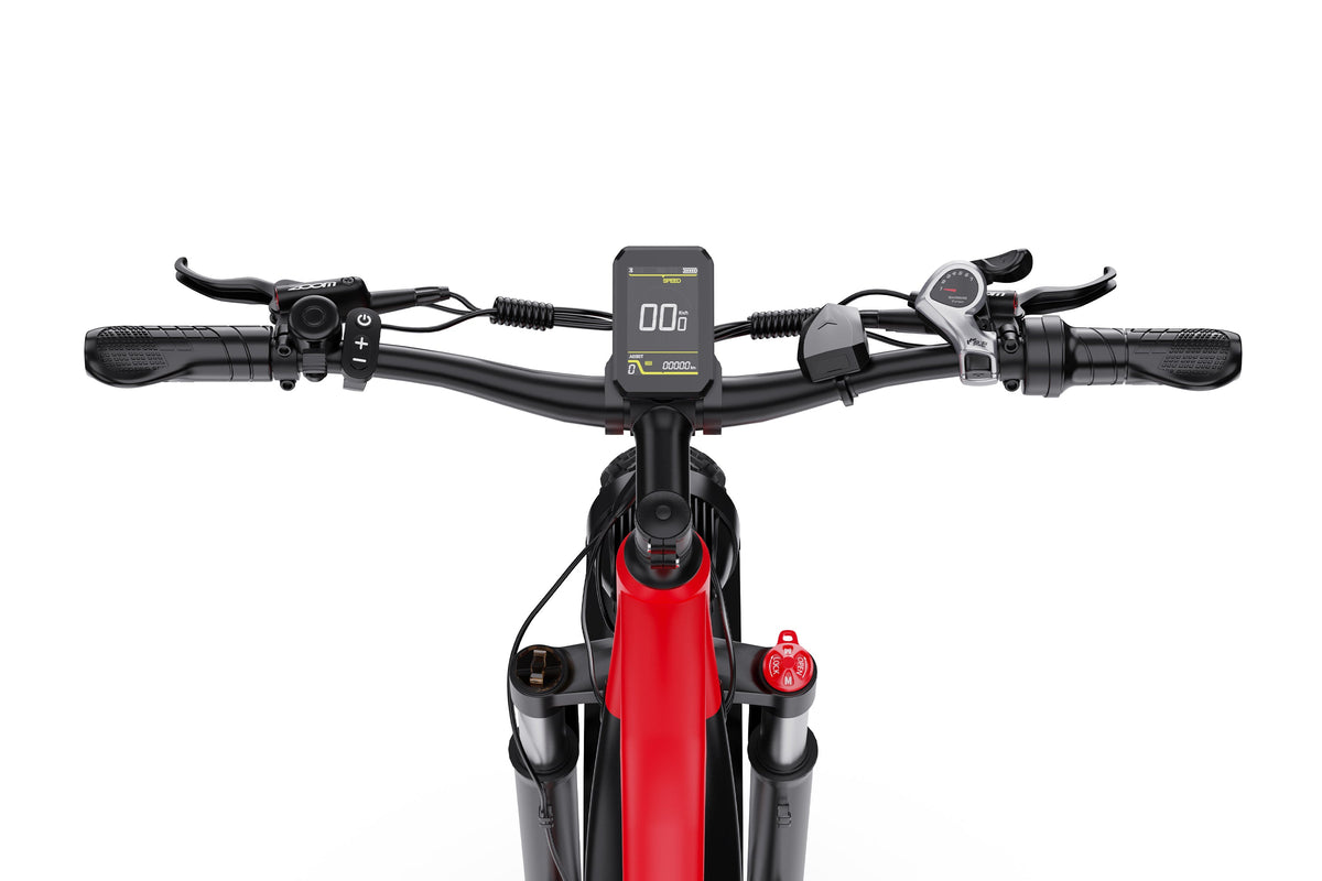 DUOTTS F26Lite Electric Bike