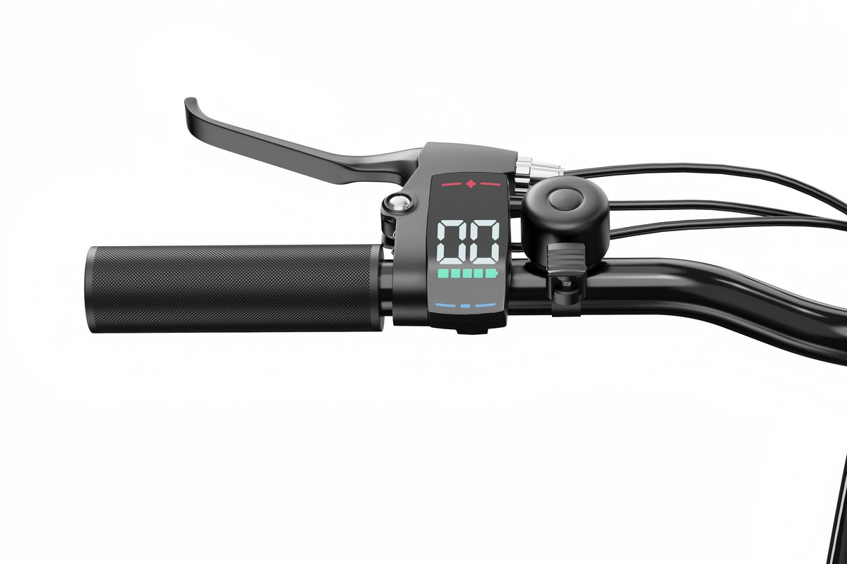 DUOTTS E-bike Display & Switch