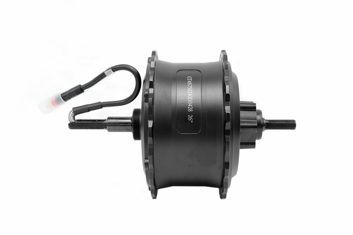 DUOTTS E-bike 750W Motor
