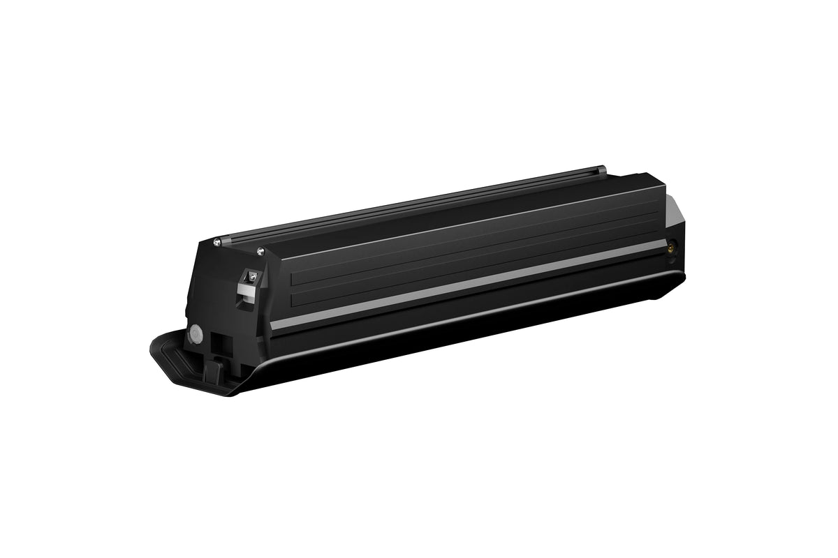 E29 Battery